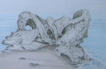 Beach Bones by Frances Hutt